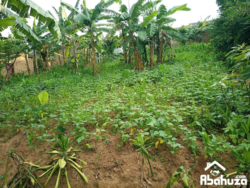 A GOO SIZE PLOT FOR SALE IN KIGALI AT GACURIRO