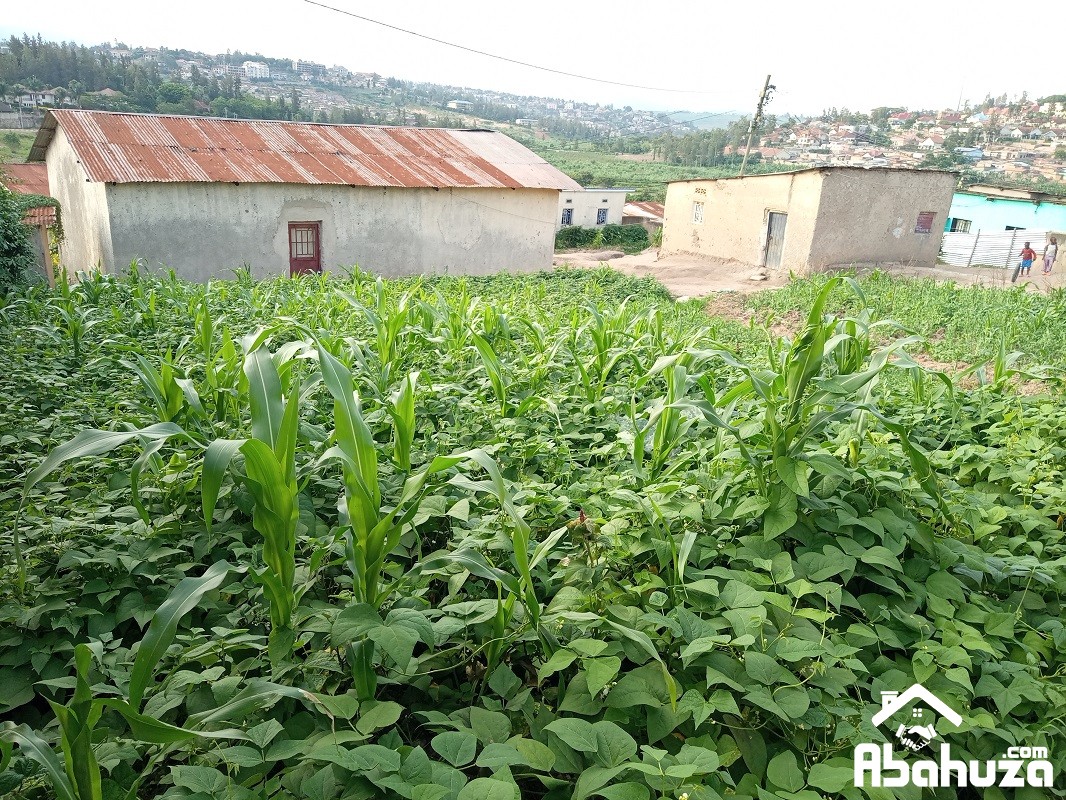 A  PLOT FOR SALE WITH OLD HOUSES IN KIGALI AT NYABISINDU