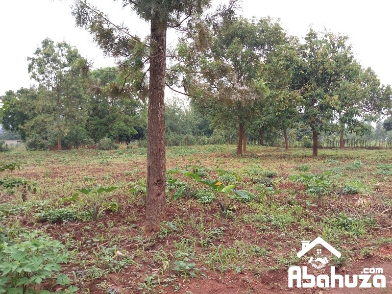 A BIG AND RESIDENTIAL PLOT FOR SALE IN KIGALI AT MASAKA