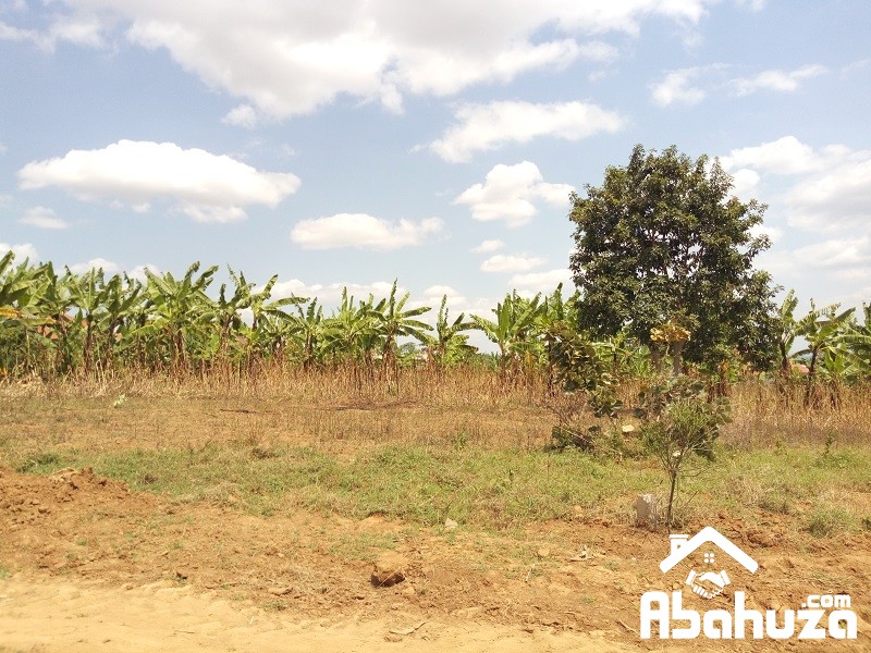 A NICE PLOT FOR SALE IN BUGESERA AT NYAMATA LA PALISSE