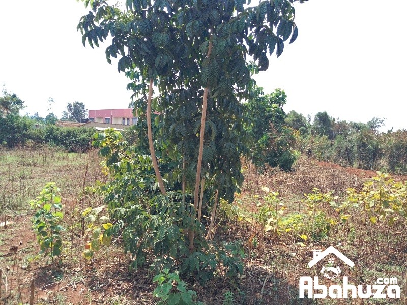 A WELL LOCATED PLOT FOR SALE IN KIGALI AT GASOGI