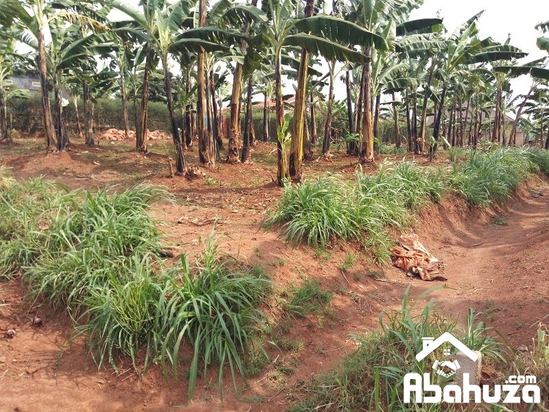 A CHEAP PLOT OF 600SQM FOR SALE IN KIGALI AT GASOGI