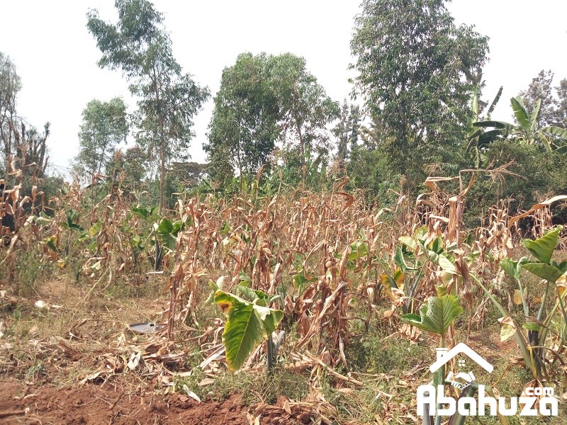 A RESIDENTIAL PLOT SIZED 571SQM FOR SALE IN KIGALI AT BUSANZA