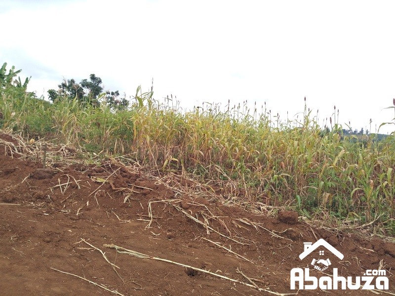 A RESIDENTIAL PLOT FOR SALE IN KIGALI AT BUMBOGO
