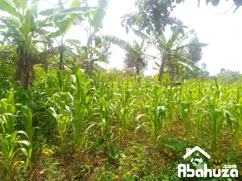 A PLOT FOR SALE IN KIGALI AT GAHANGA