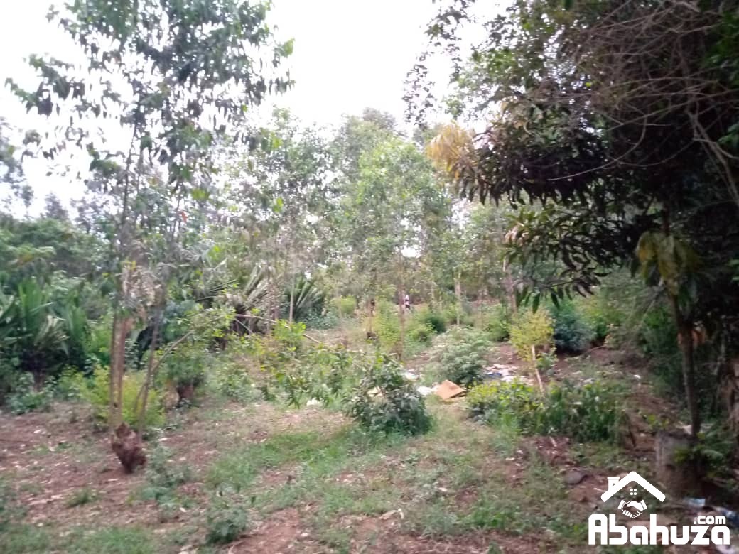 A BIG PLOT FOR SALE IN KIGALI AT GACURIRO