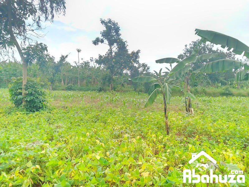 A GOOD INDUSTRIAL PLOT FOR SALE IN KIGALI AT GAHANGA