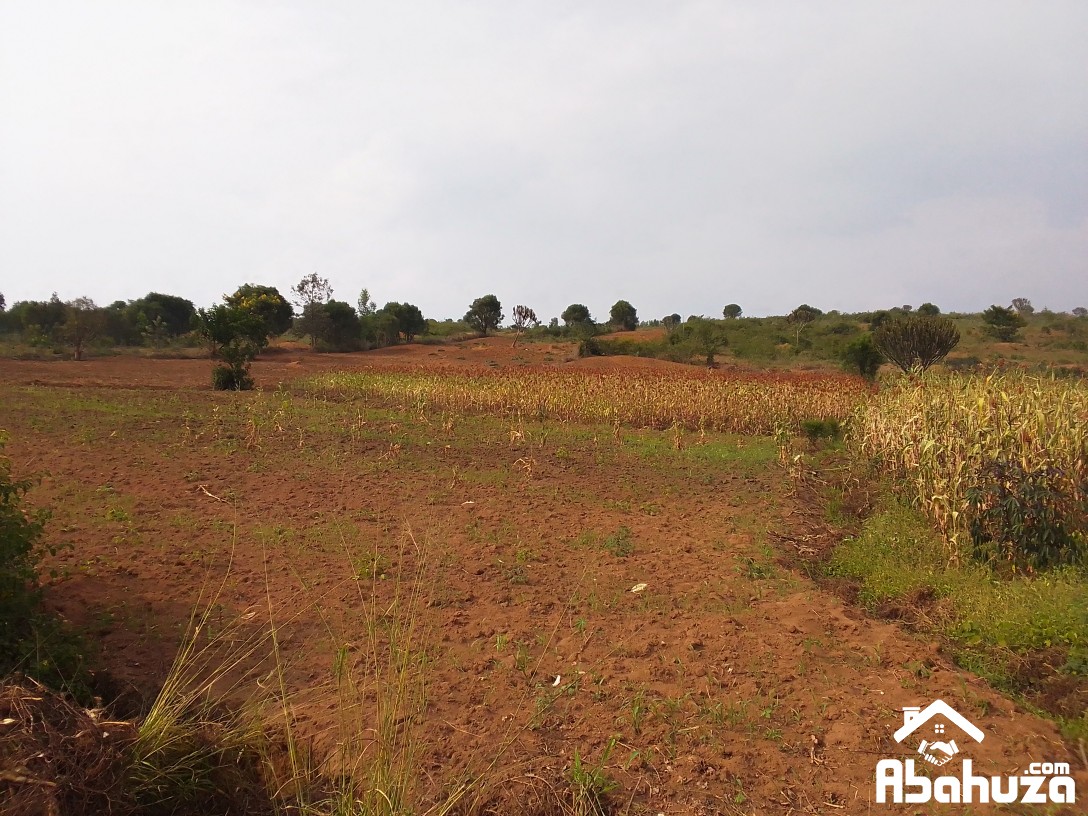 A CHEAP PLOT FOR SALE IN GENERAL  INDUSTRIAL ZONE AT BUGESERA